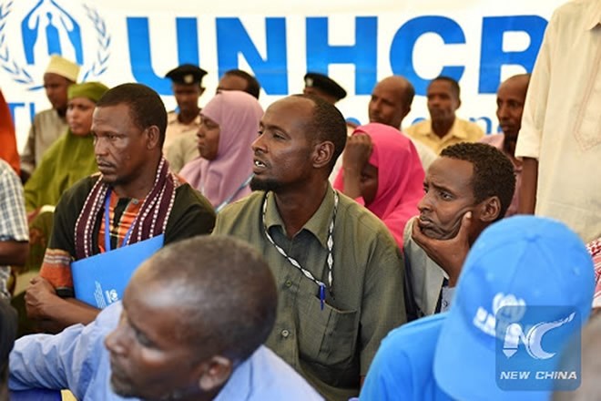 UN says 15 aid workers killed in Somalia in 2020