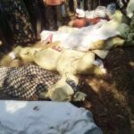 ETHIOPIA: MORE THAN 40 CIVILIANS KILLED IN WESTERN OROMIA