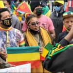 Diaspora Protesters in US, Canada Back Ethiopian Government