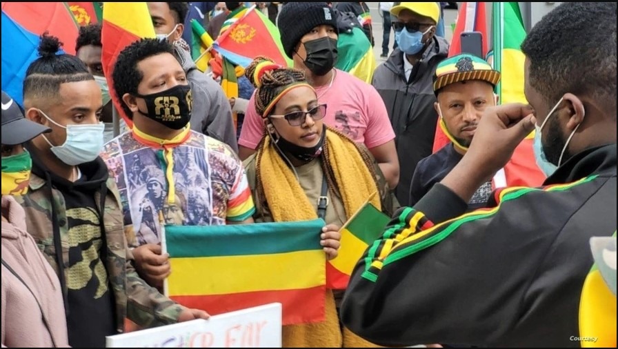 Diaspora Protesters in US, Canada Back Ethiopian Government