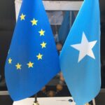 EU hails federal gov’t’s decision to hold elections