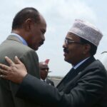 Eritrea: Eritrean President’s Praise of Farmajo Triggers Outrage