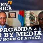 Propaganda, War by Media & R2P Maneuvers Against Peace Process