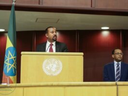 Ethiopia’s debt: an economic and political liability