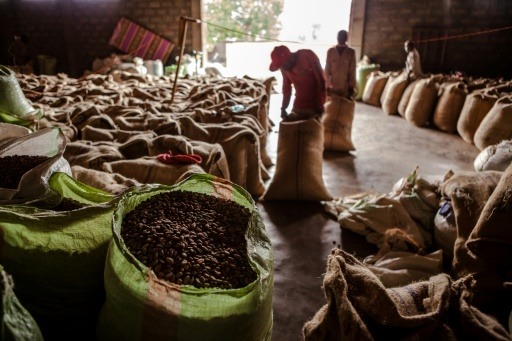 Ethiopia’s Coffee Global Market Share Boom